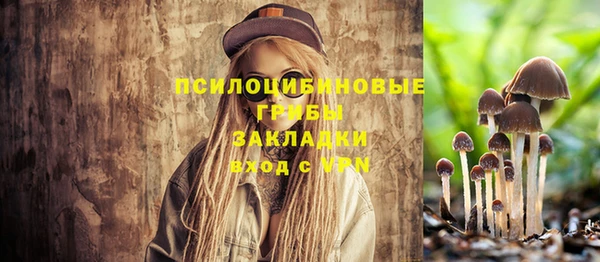 ешки Алексин
