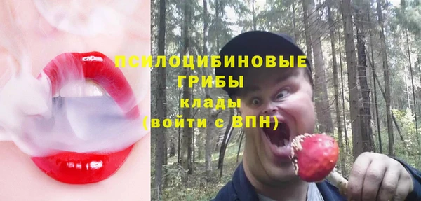 ГАЛЛЮЦИНОГЕННЫЕ ГРИБЫ Корсаков