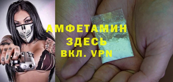 ешки Алексин
