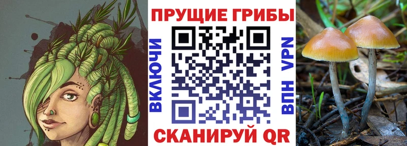 Псилоцибиновые грибы мухоморы  Еманжелинск 