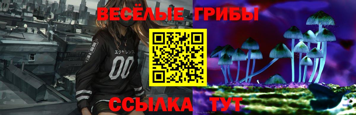 Галлюциногенные грибы Psilocybe  Вход с VPN  Еманжелинск 